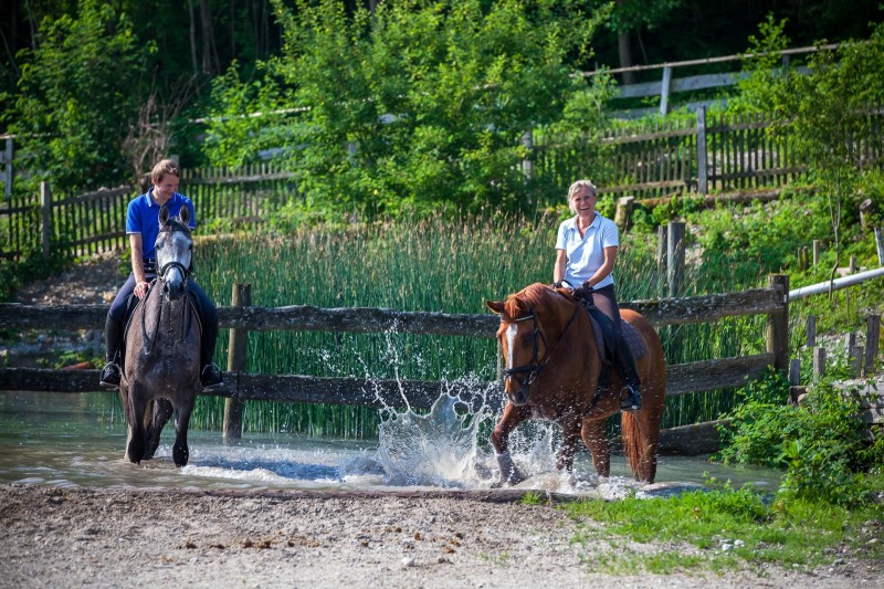 2 Reiter am Teich