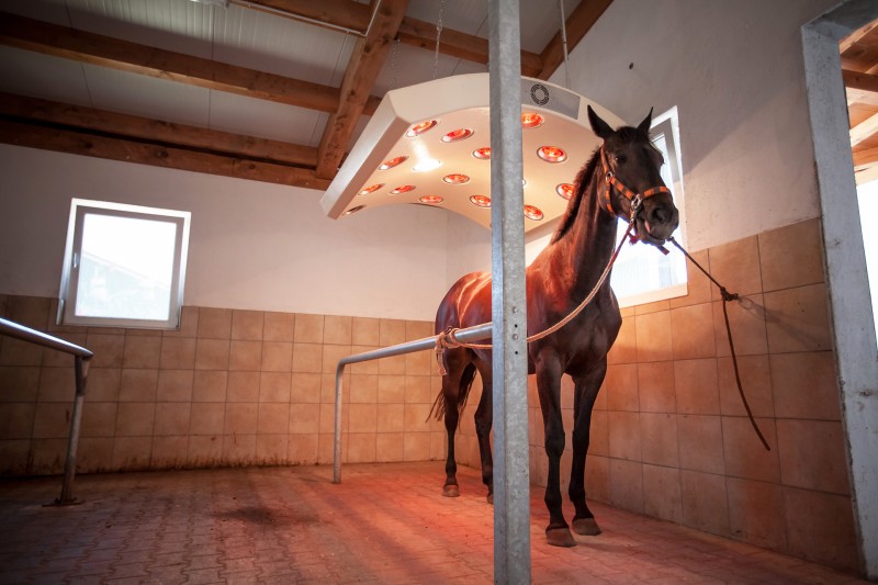 Solarium